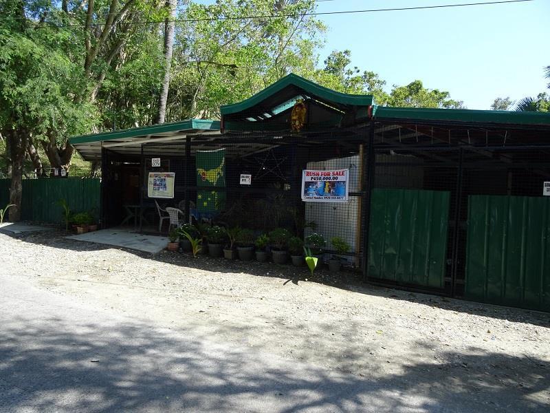 Happy Buddha Inn Puerto Galera Exterior foto
